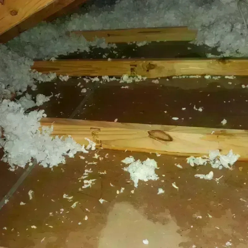 Attic Water Damage in Kiowa County, KS