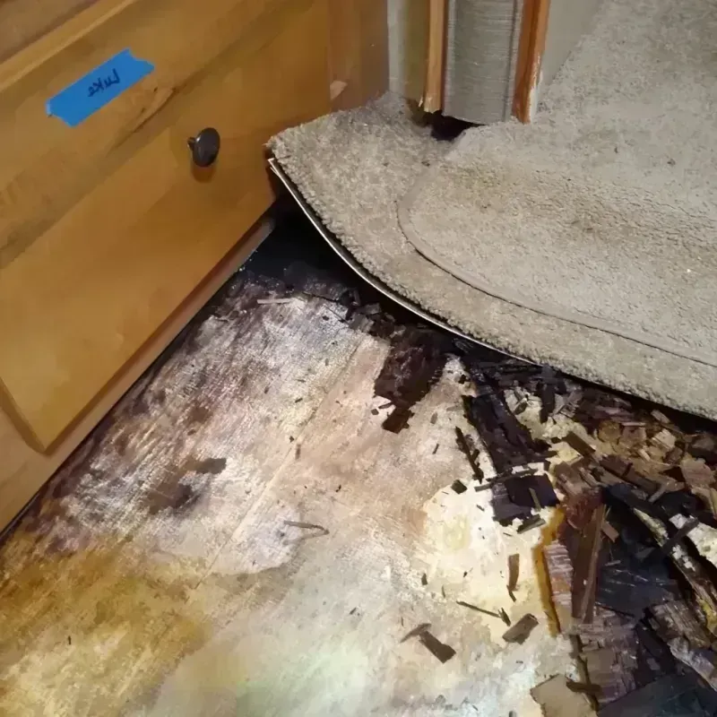 Best Wood Floor Water Damage Service in Kiowa County, KS